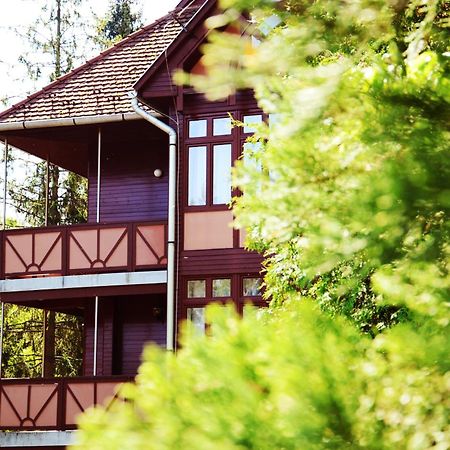 Ezuestfenyo Hotel Telkibánya Exteriör bild
