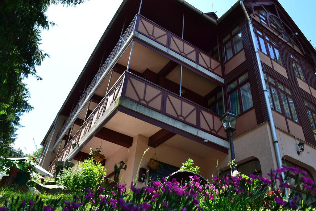 Ezuestfenyo Hotel Telkibánya Exteriör bild